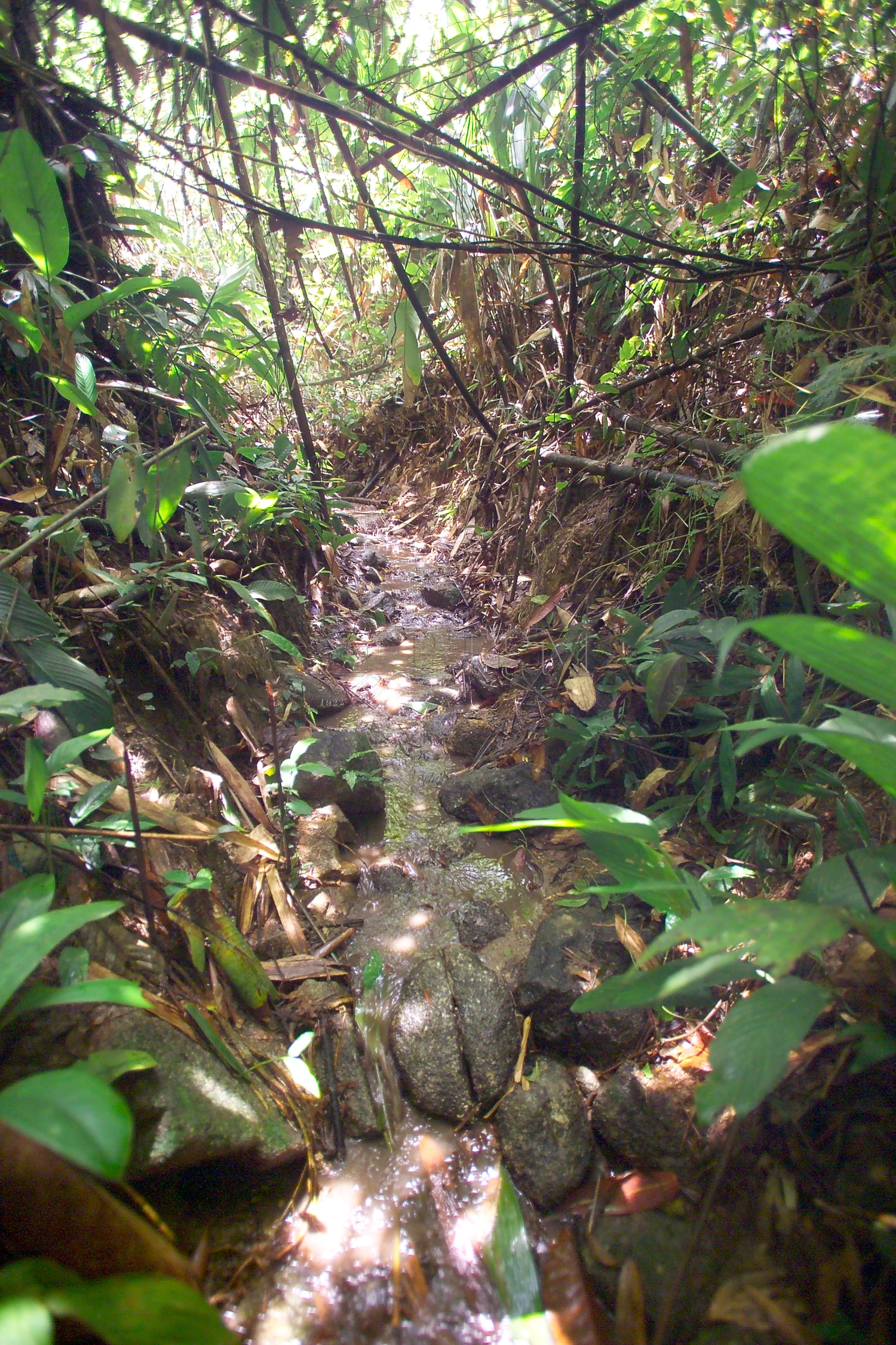 PTPM 06 31 kilau D9X44189